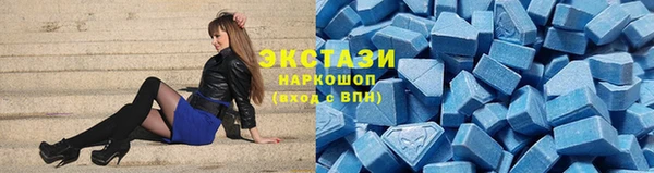 индика Дмитровск