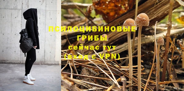 индика Балахна