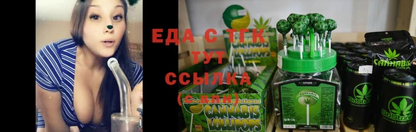 индика Балахна