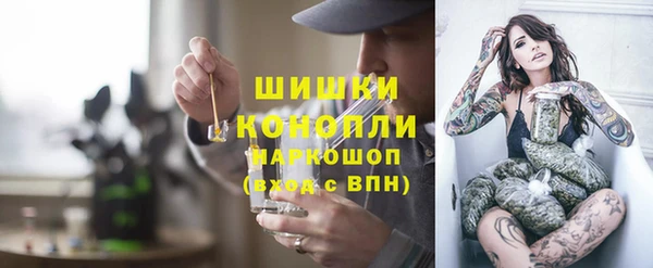 индика Балахна