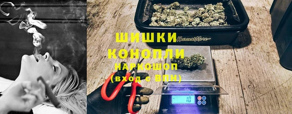 индика Елабуга