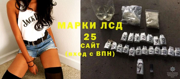 индика Балахна