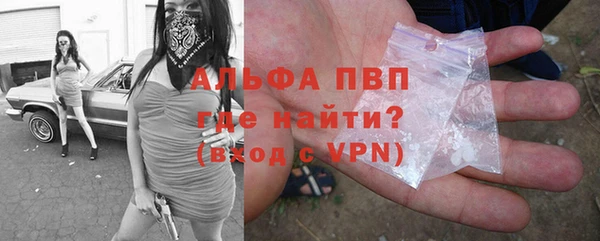 индика Балахна