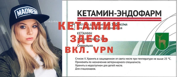 индика Балахна